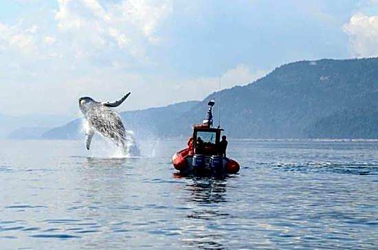 Motel de l'Anse a l'Eau