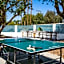 The Monkey Tree by AvantStay Mid-Century Modern Oasis with Pool