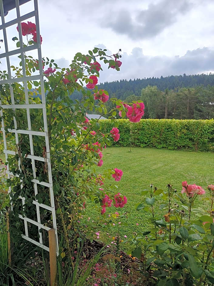 Osada Leonówka Bieszczady