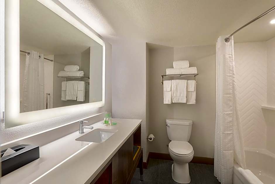 Holiday Inn & Suites Orlando SW - Celebration Area By IHG