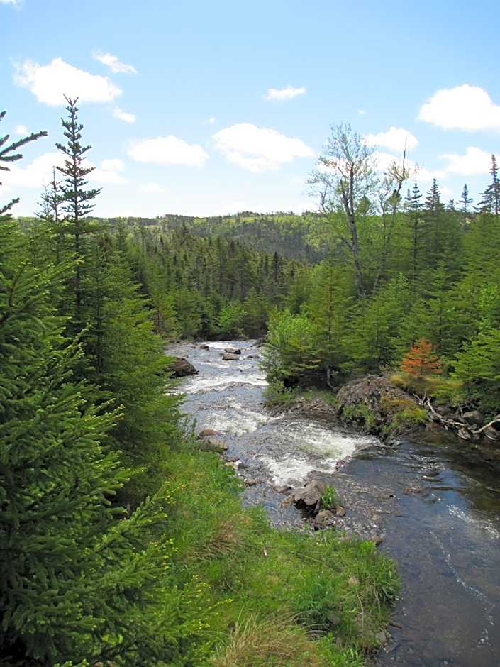 The Wilds at Salmonier River