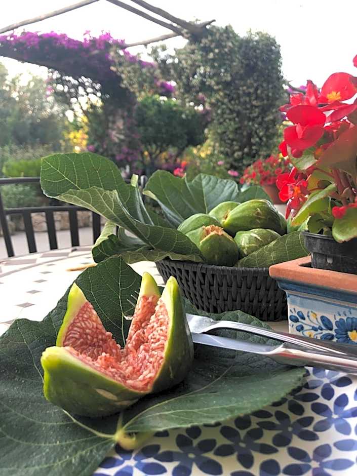 Hotel Al Mulino - Mediterranean Garden Retreat in AnaCapri