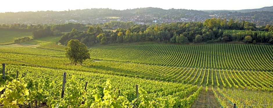 Denbies Vineyard Hotel