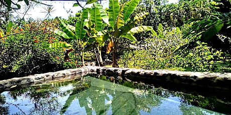 Nypa Style Resort Camiguin