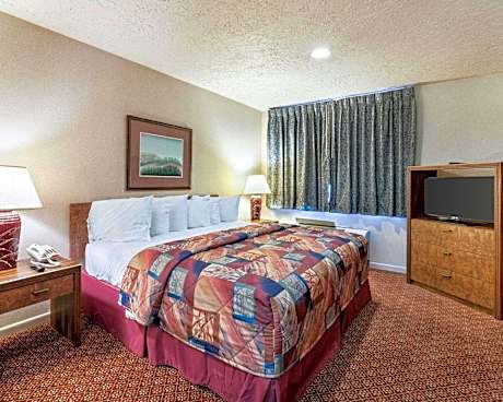 1 King Bed Suite Nonsmoking