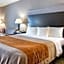 Comfort Inn Camden