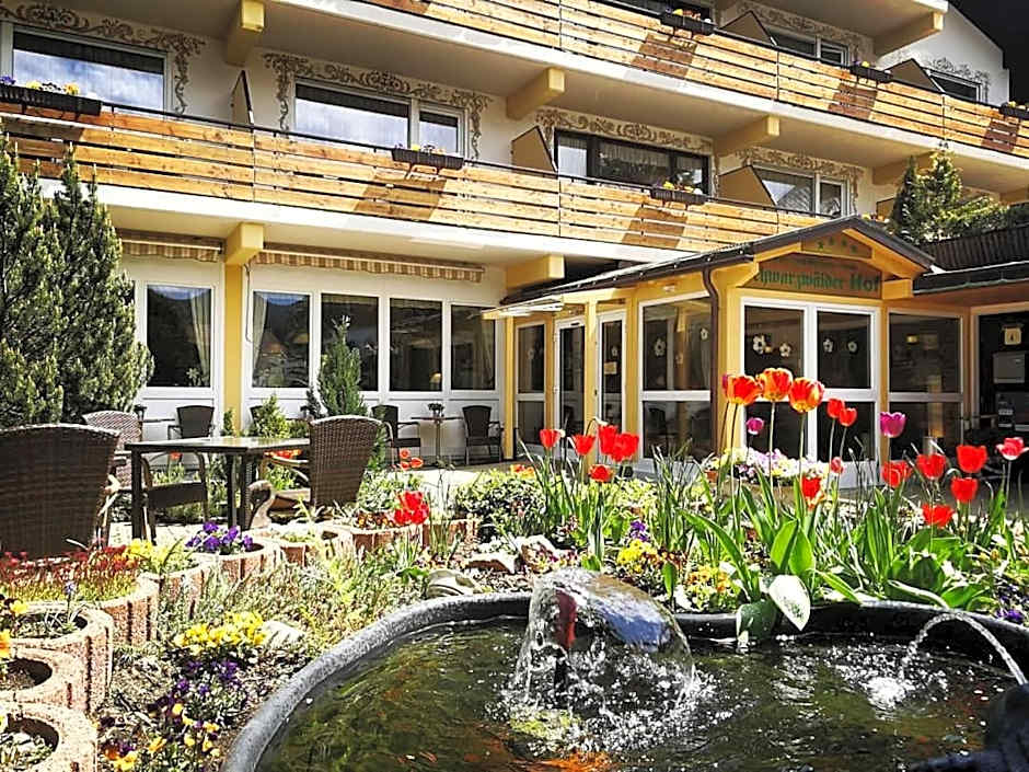 Forsters Schwarzwald Hof - Resort-Hotel&Pension