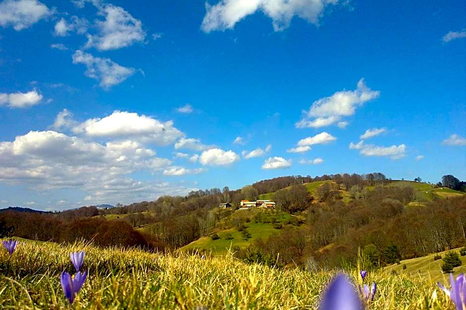 Hotel Manastir Berovo