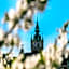 Baltic Gdańsk OLD TOWN
