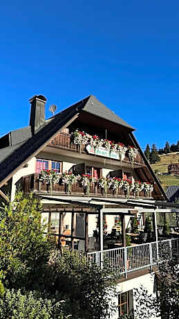 Hotel & Restaurant Grüner Baum - Die Grüne Oase Am Feldberg