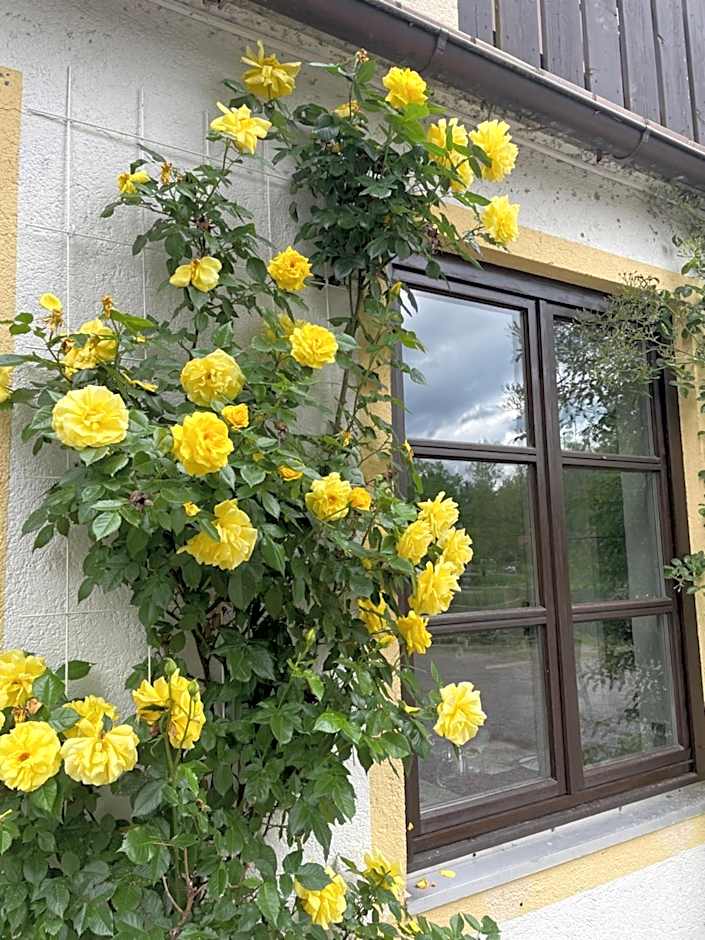 Gästehaus Altes Fährhaus