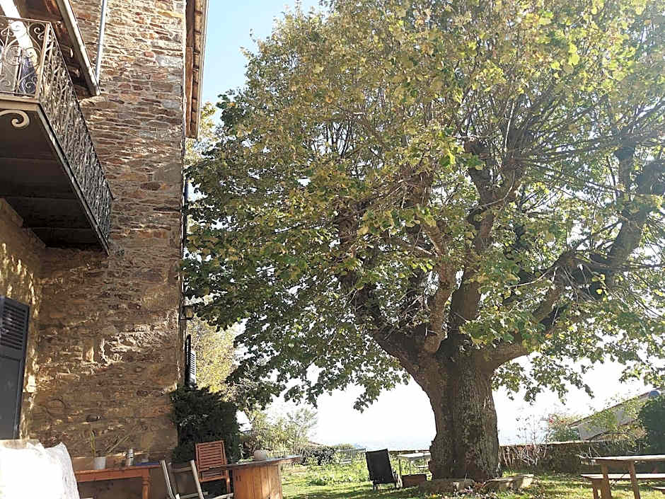 Chateau De Riverie chambres et table d'hôtes