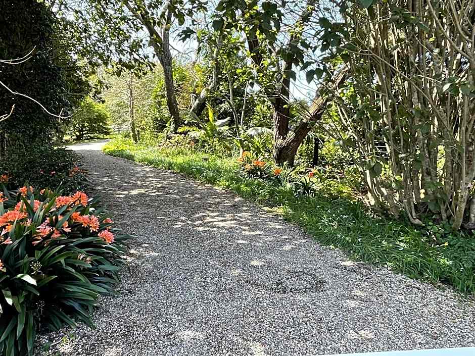 Pa Road B&B Kerikeri NZ