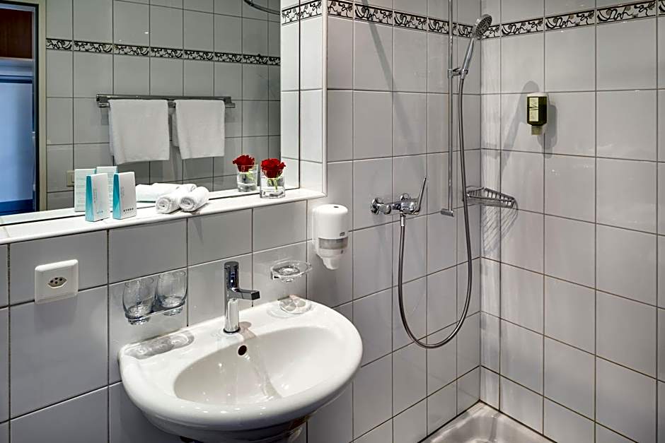 Seehotel Beinwil am See