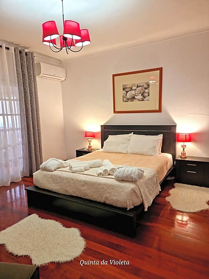 Villa Quinta da Violeta