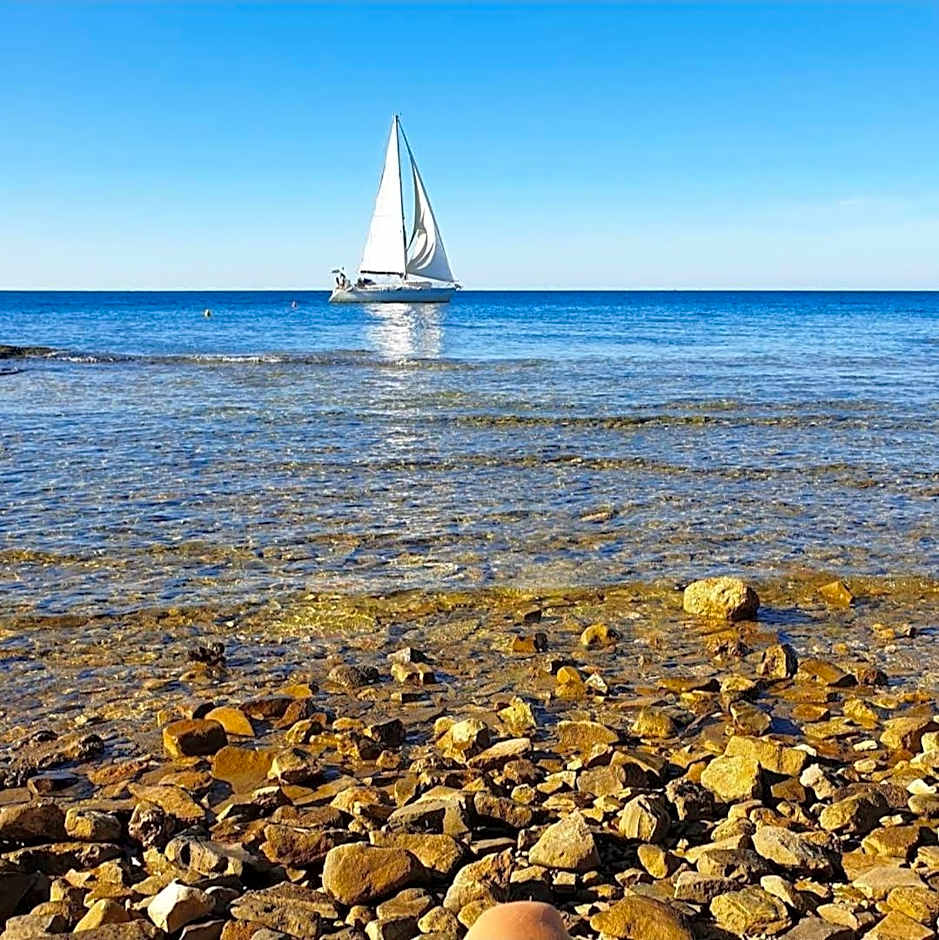 Family Bungalow Pineta