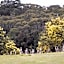 Hanging Rock Views