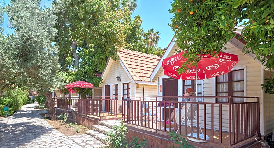 Clover Magic Nova Beach