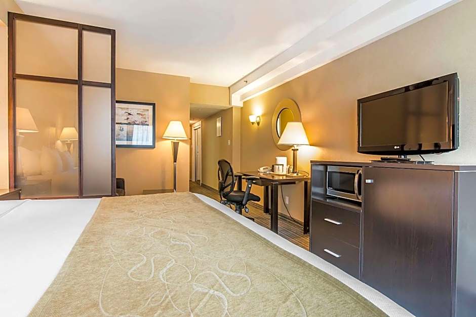 Comfort Suites Downtown