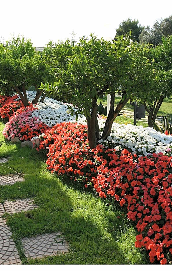 La Medusa Hotel - Dimora di Charme