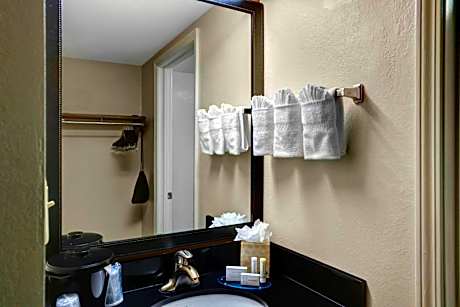 One-Bedroom King Suite