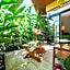 Papagayo Golden Palms Beachfront Hotel