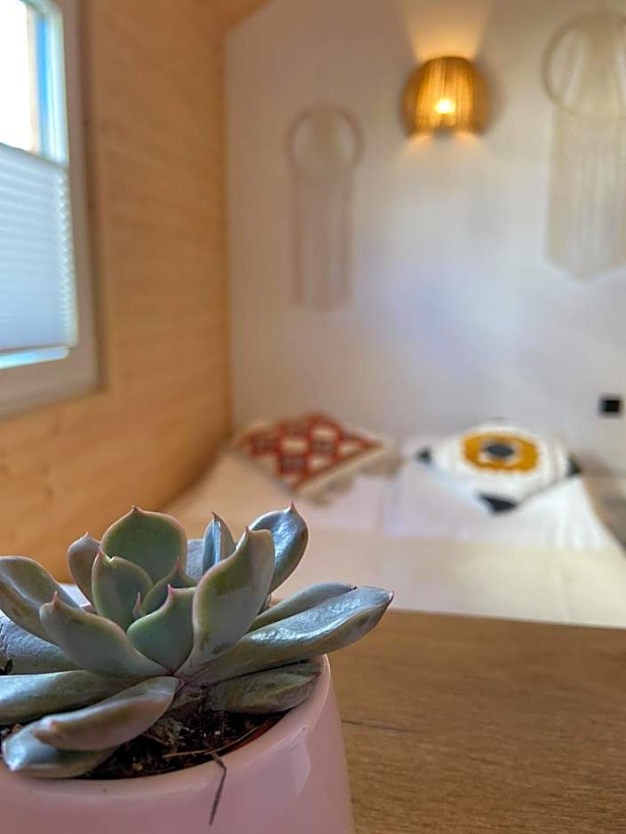 Domki Przy Brzegu Chłapowo