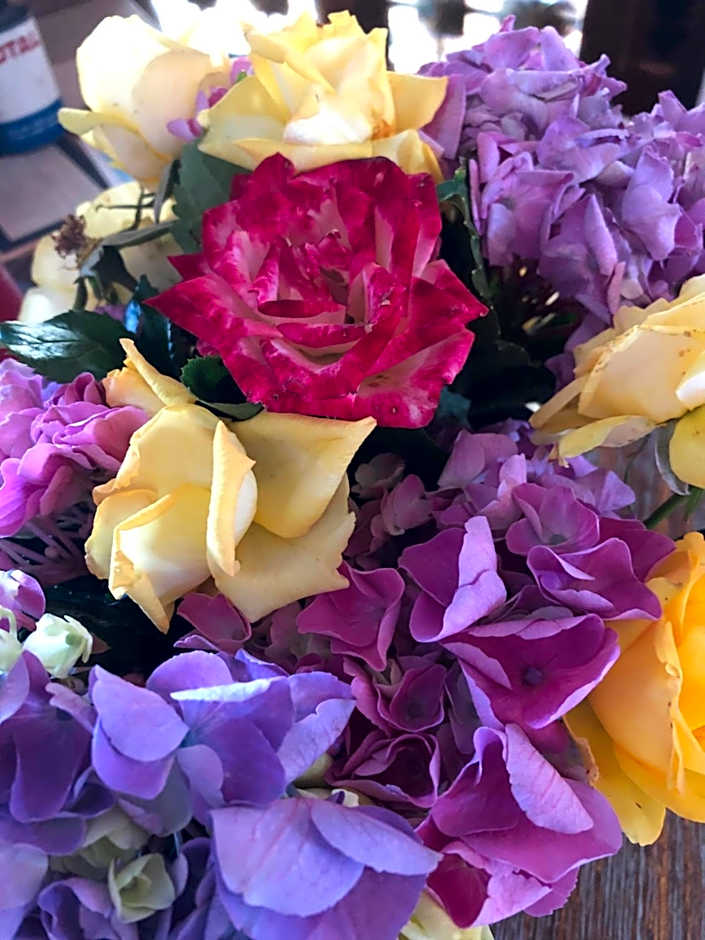 LE CHALET de la goutte