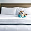 Kimpton St Honore Paris By IHG