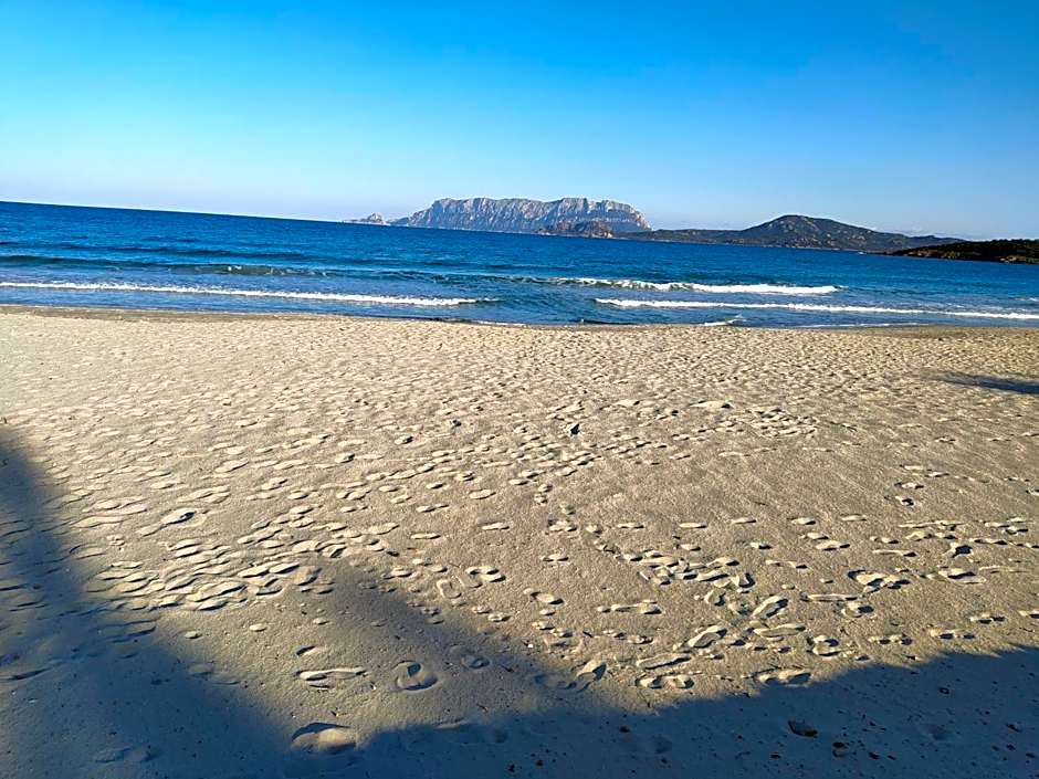 Antica Isola