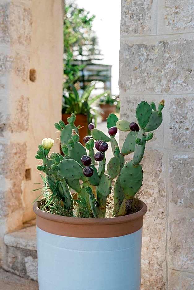 Masseria San Martino