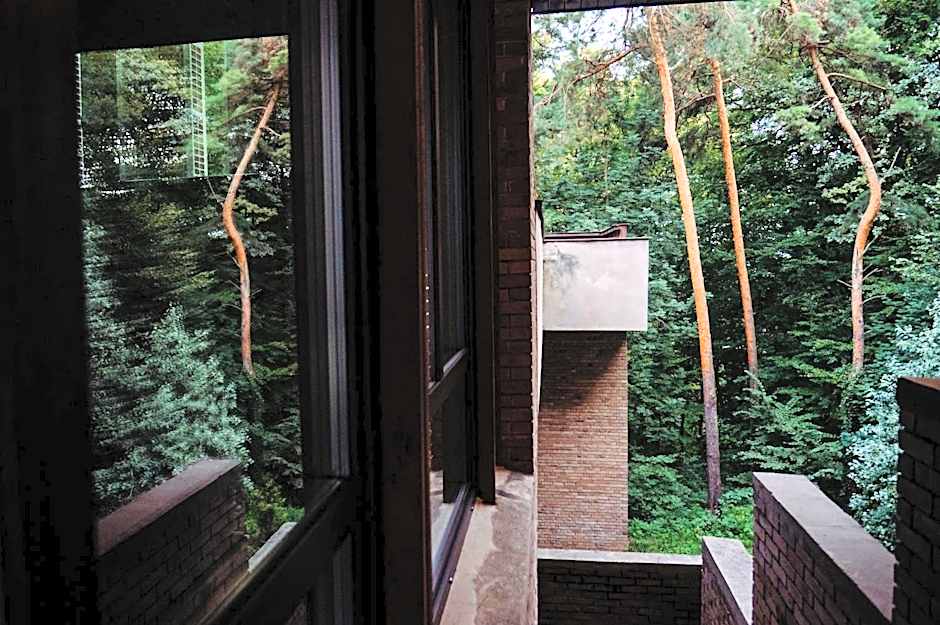 Forest Hotel