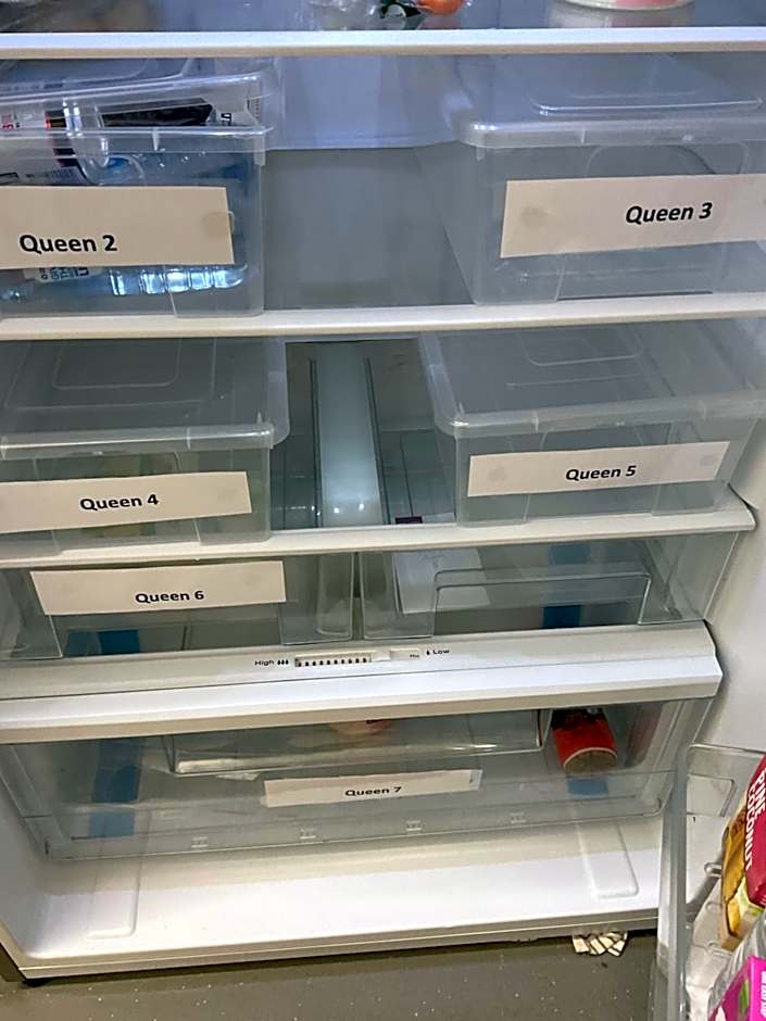 Argyle Accommodation