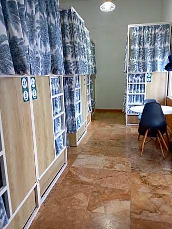 Bed in 12-Bed Mixed Dormitory Room