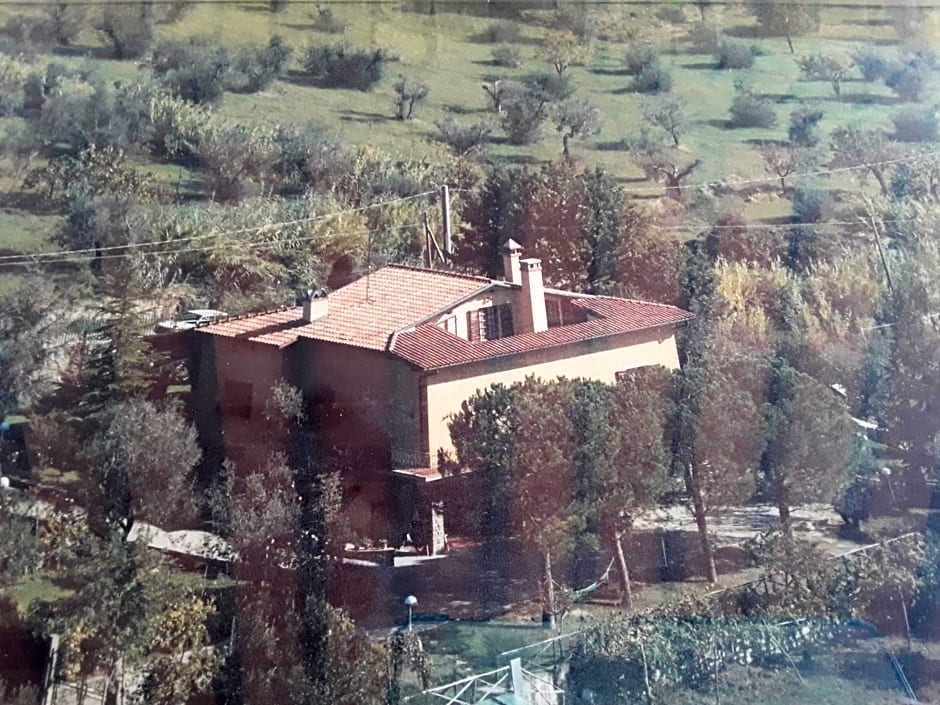 La collina degli olivi