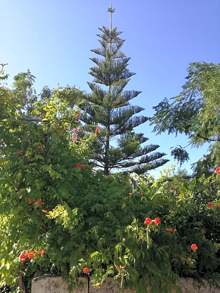 La Lanterna delle Fate