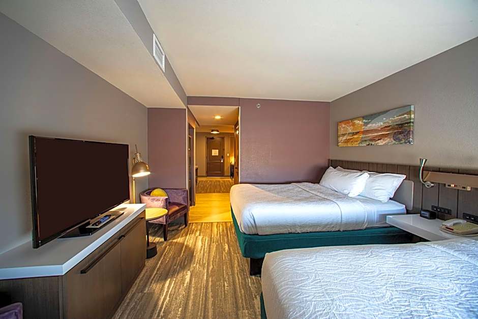 Hilton Garden Inn Rapid City