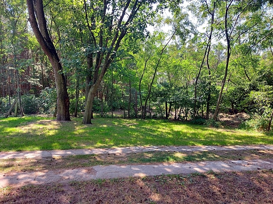 Dom imprezowy z noclegami Dziecinów