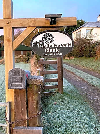 Jacquie's B&B -Dumfries-Room with a view