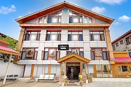 Super Collection O Rajbagh