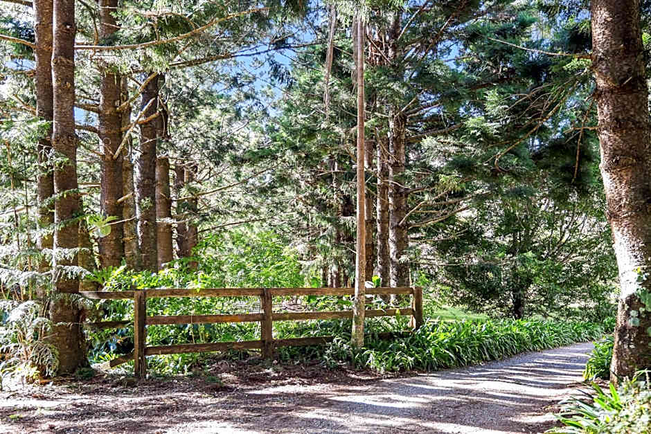 Montville Country Cabins