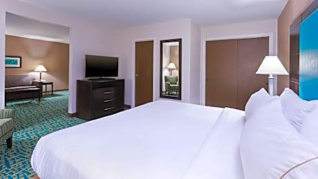 1 King Bed Suite Sofa Bed