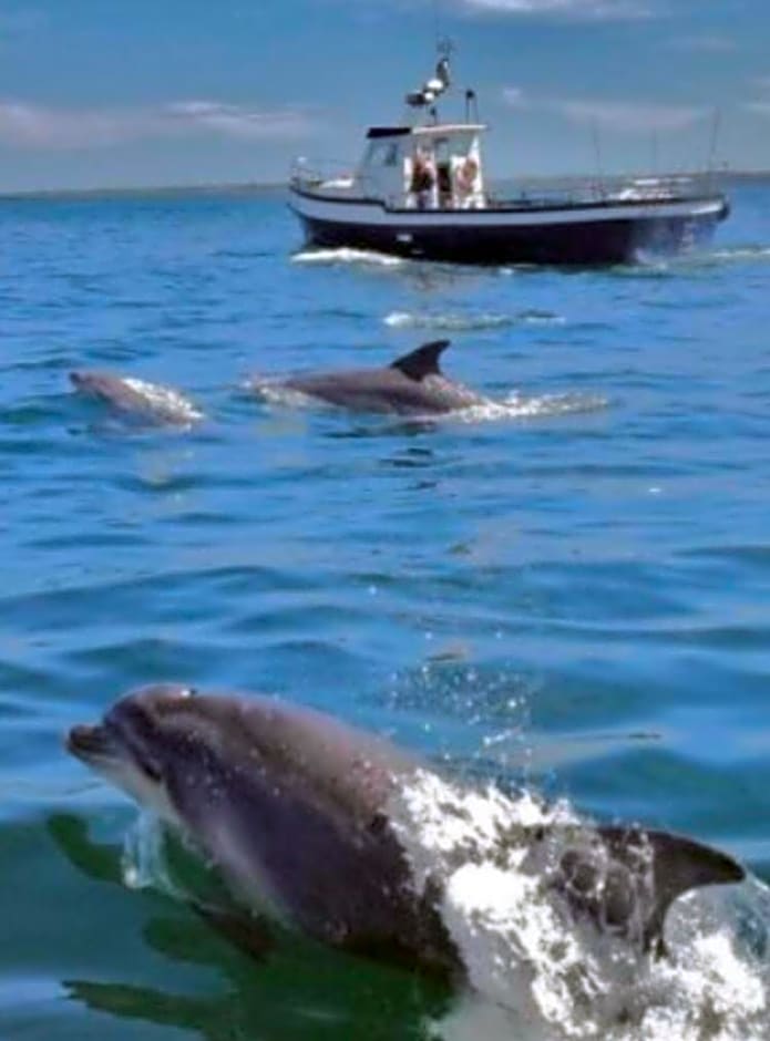 Ross Beach Family Farmhouse B&B