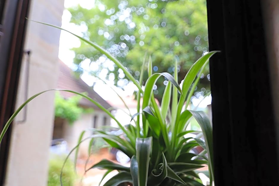 La Malinette B&B, calme et authenticité