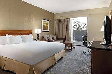 1 King Bed Two Room Suite