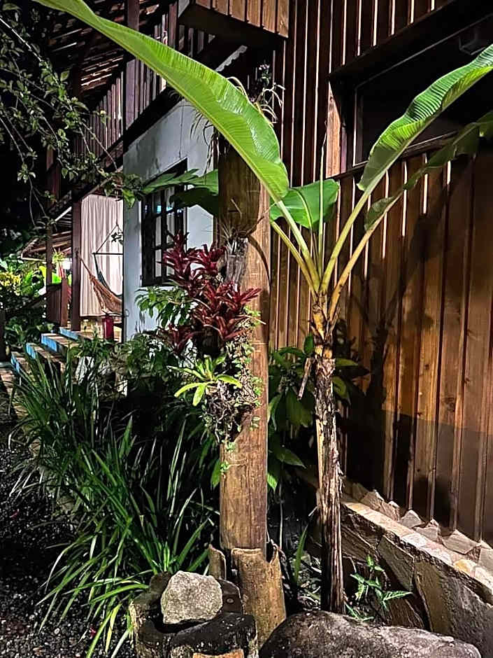 Planeta Banana Paraty