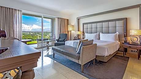 King Deluxe Plus Room