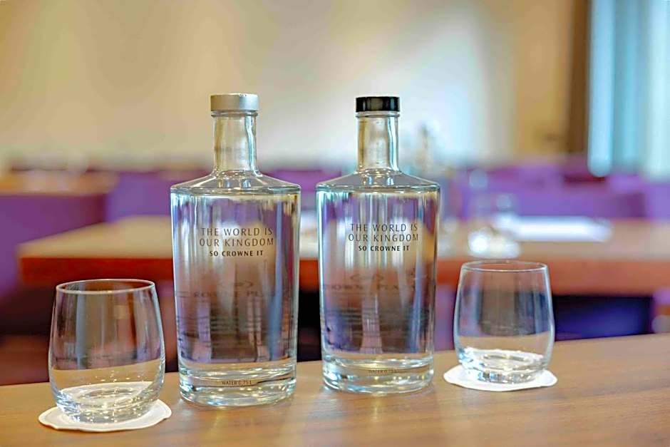 Crowne Plaza Amsterdam - South By IHG