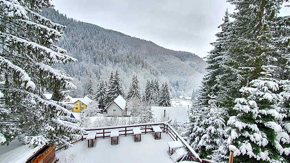 Cabana "Trei Brazi " Retezat