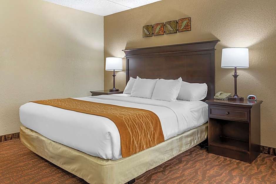 Comfort Inn At Thousand Hills